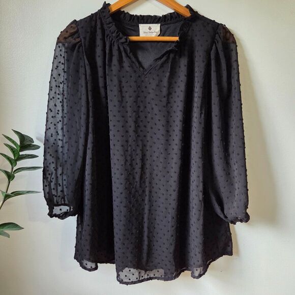 EUC BETSEY'S BOUTIQUE SHOP BLACK SPLIT V NECK SHEER LINED LONGSLEEVES XL - Picture 1 of 16